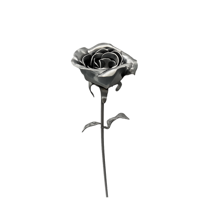 Weld-It-Yourself Roses Kit- 24 g