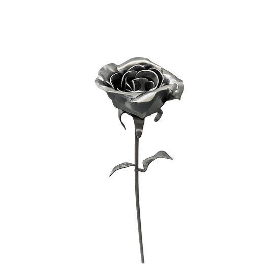 Roses Kit