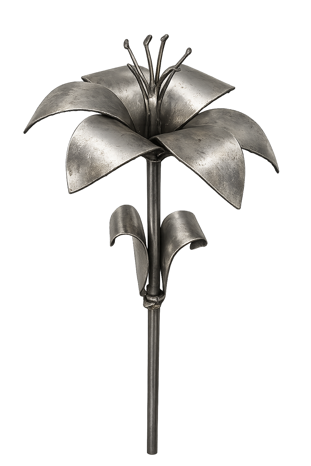 Lily Kit